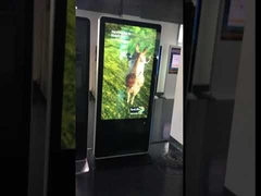 Glasses free digital signage