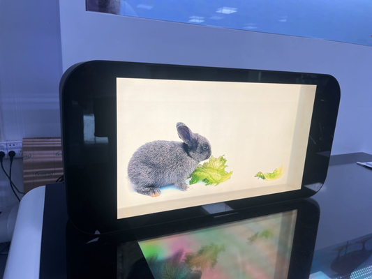 10.1-86 Inch Indoor 3D Hologram Interactive Video Holographic Touch Screen Box Transparent LCD Screen