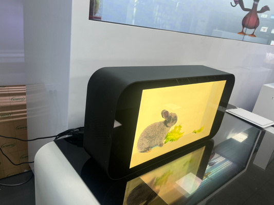 10.1-86 Inch Indoor 3D Hologram Interactive Video Holographic Touch Screen Box Transparent LCD Screen